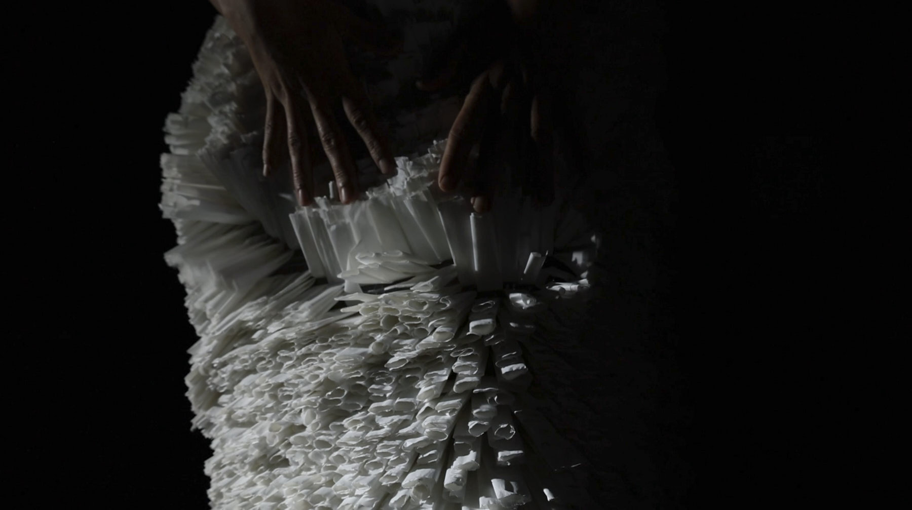 Lydia_Waldhoer_I,grow(shells are my companions) 1